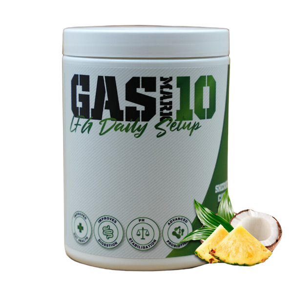 GASMARK10 - LFG