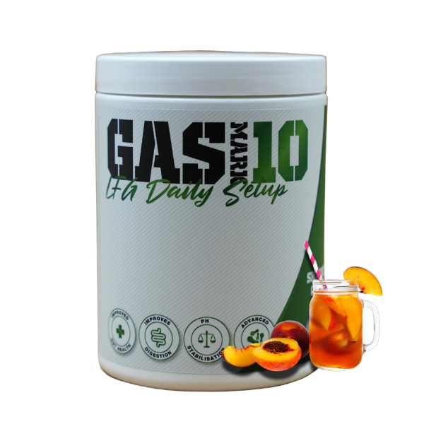 GASMARK10 - LFG